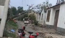 徐州最新爆料事件,揭秘背后惊人真相